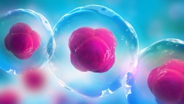 United Journal of Stem Cell, Pharma and Regenerative Medicine